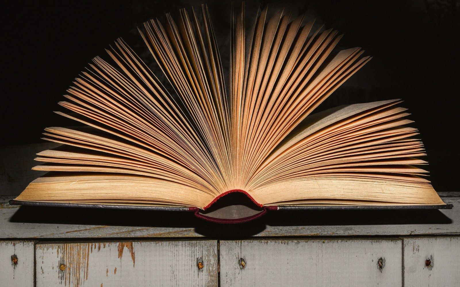 An open book with pages fanned out in a wide arc against a dark background